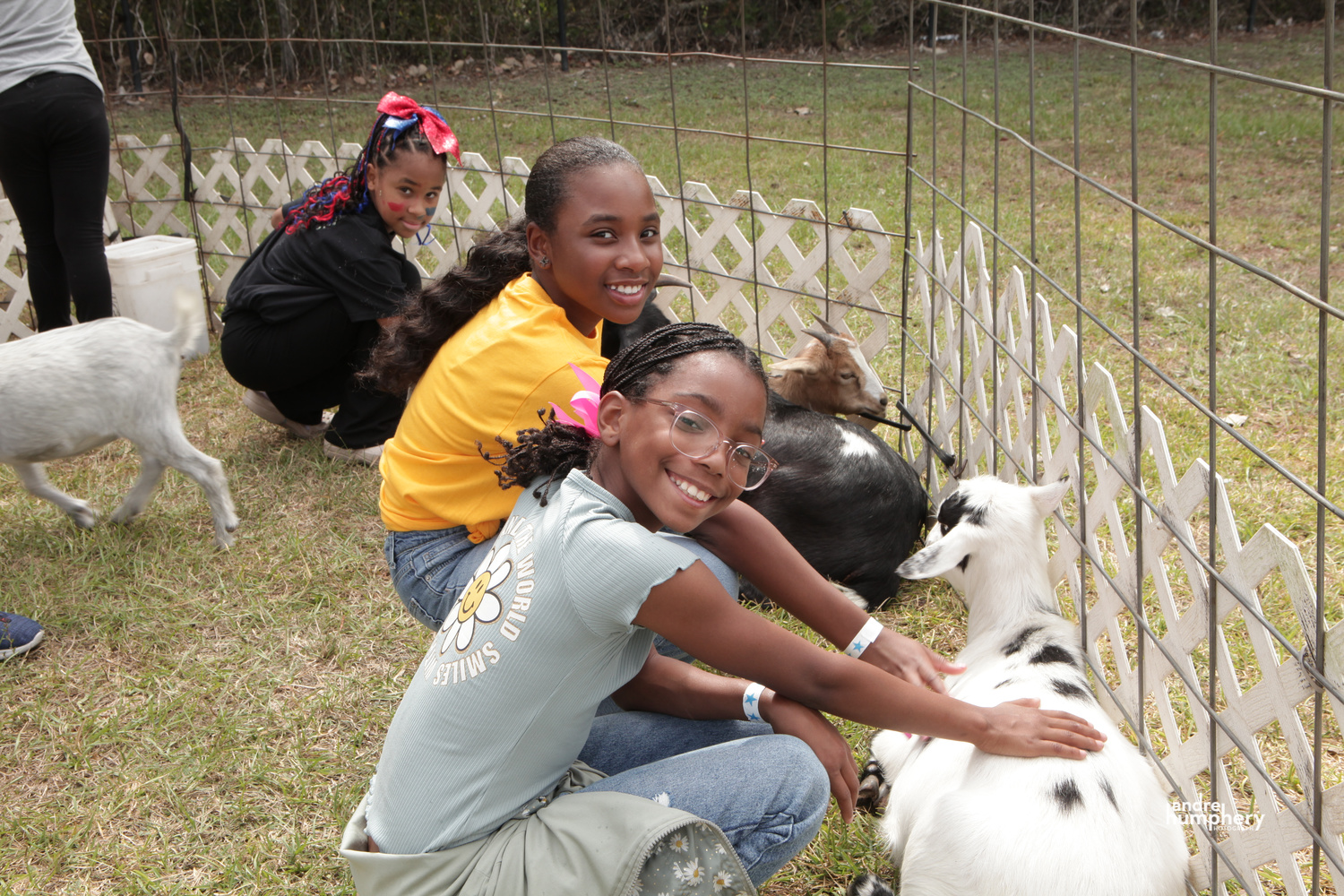 Children visiting the Harvest Festival petting zoo